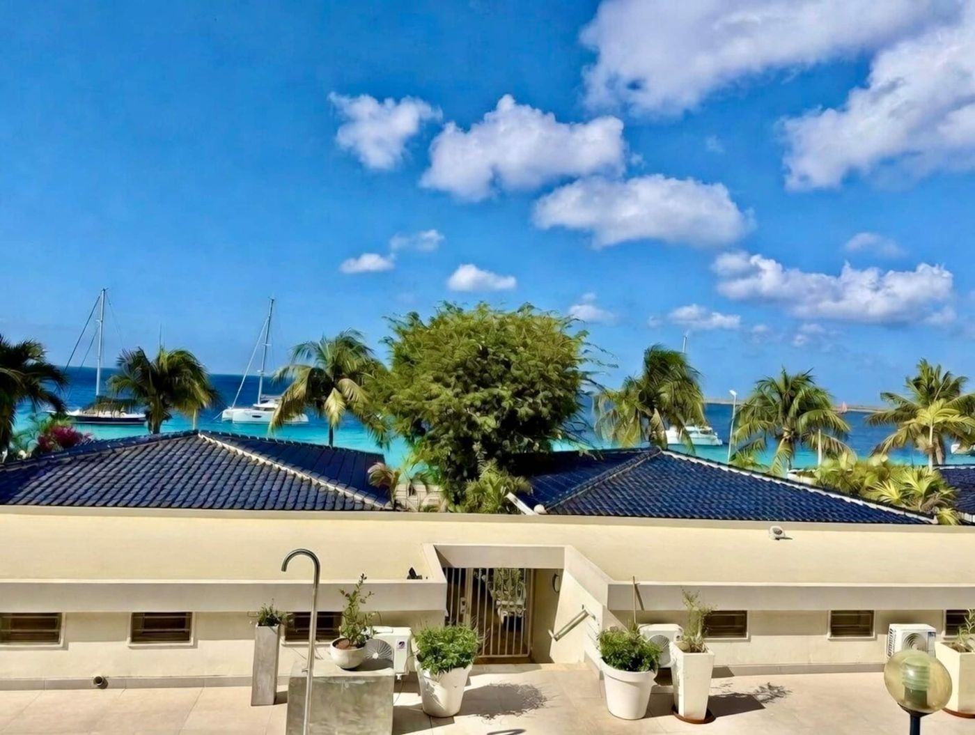 Blick über die Palmen auf das Meer und Klein Bonaire